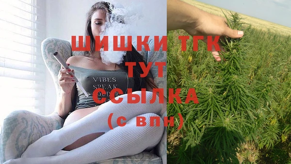 гашик Осташков