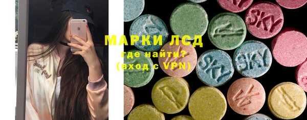 гашик Осташков