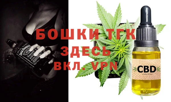 гашик Осташков