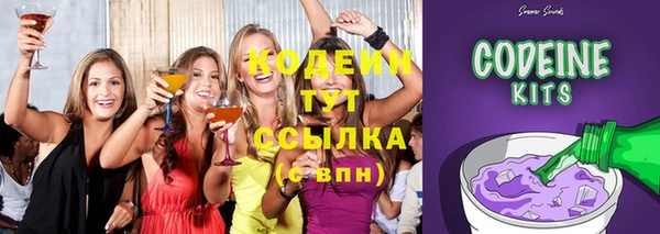 гашик Осташков