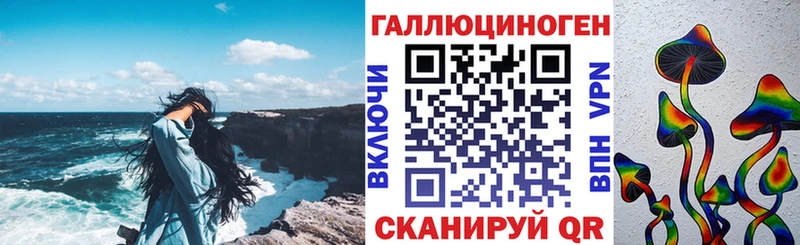 Галлюциногенные грибы Psilocybe  Суздаль 